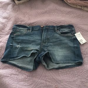 Jean Shorts - Size 12